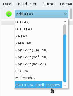 PDFLaTeX -shell-esacpe auswählen